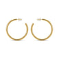 Big bold golden hoops